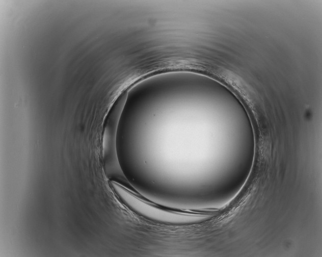 X0000098181089200805011030