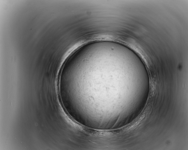 X0000098181090200805011030