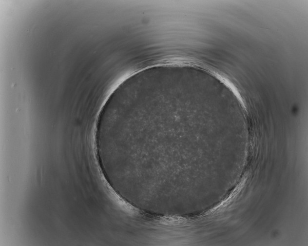 X0000098181091200805011030