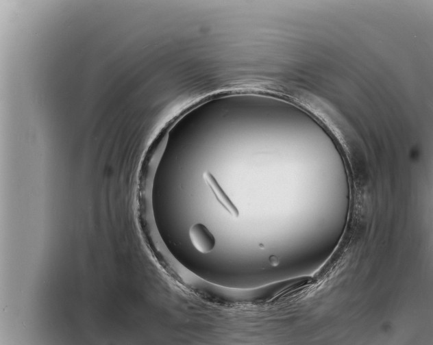 X0000098181093200805011030