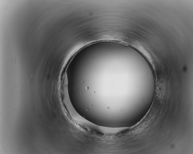 X0000098181096200805011030