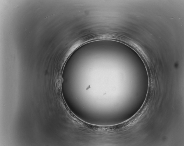 X0000098181097200805011030