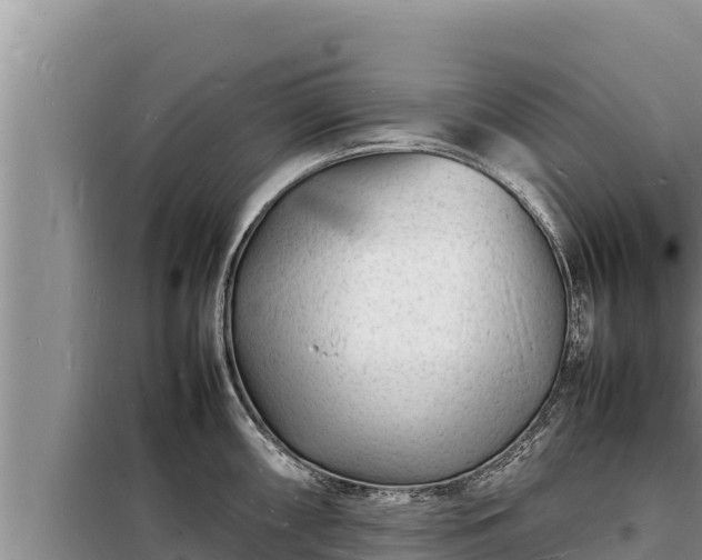 X0000098181098200805011030