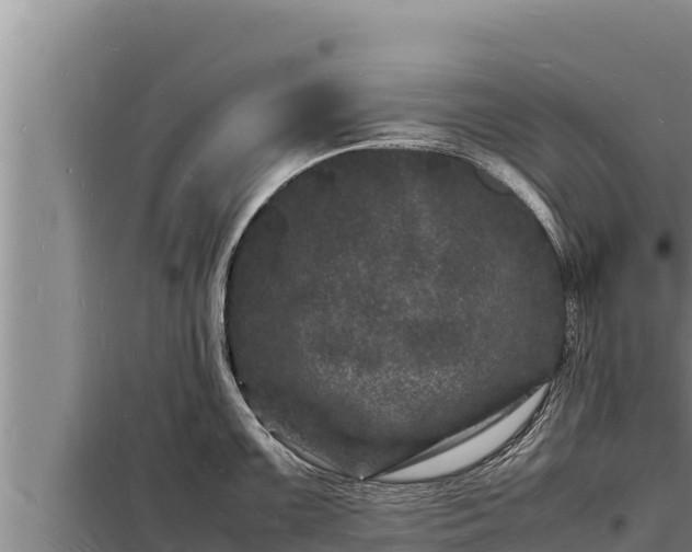 X0000098181099200805011030