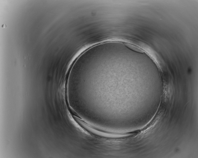 X0000098181100200805011030