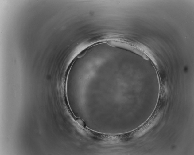 X0000098181101200805011030