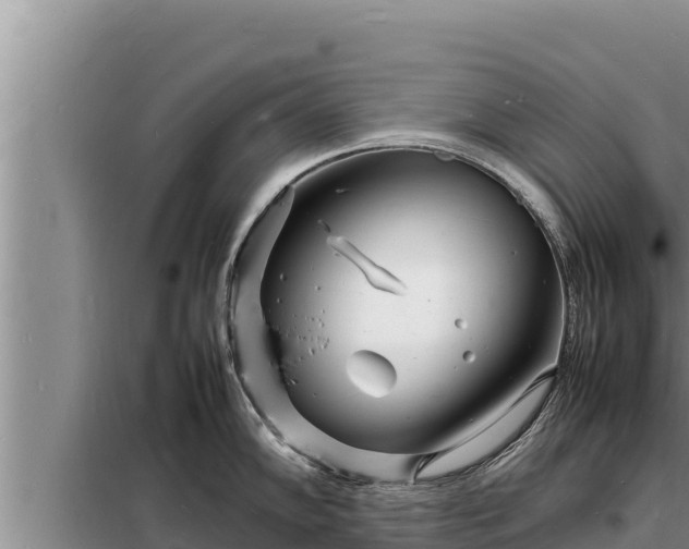 X0000098181102200805011030