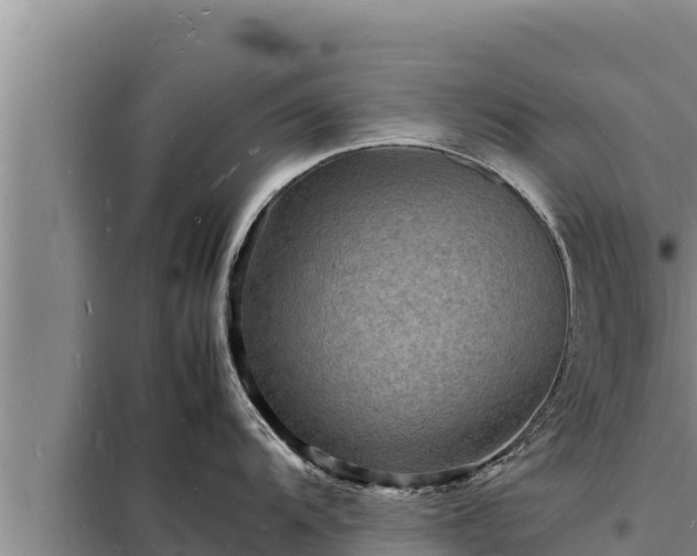 X0000098181104200805011030