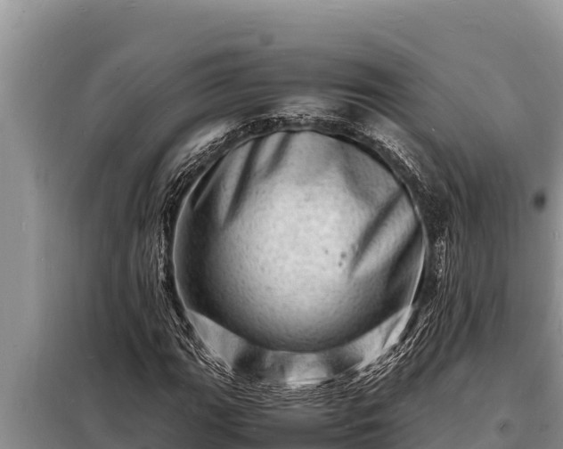 X0000098181111200805011029