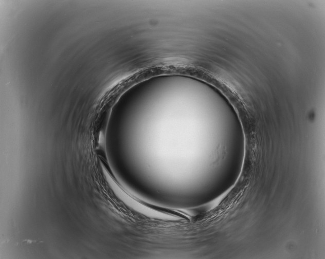 X0000098181112200805011029