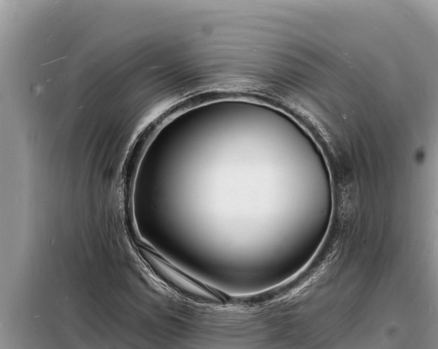 X0000098181114200805011029