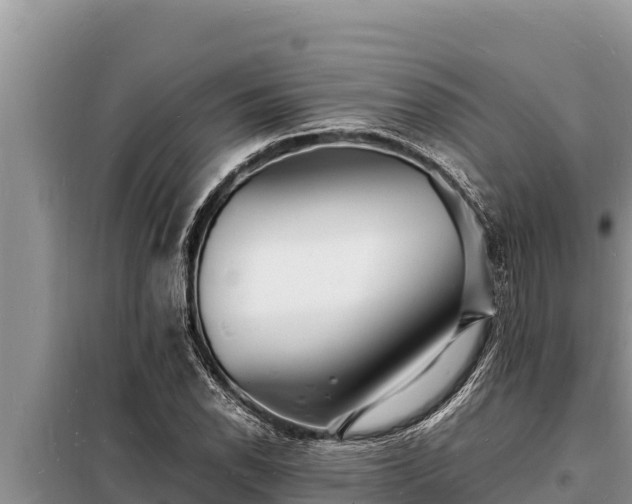 X0000098181118200805011029