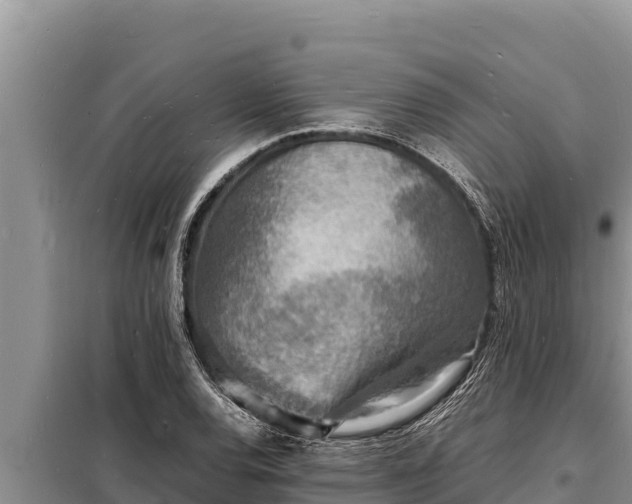 X0000098181120200805011030