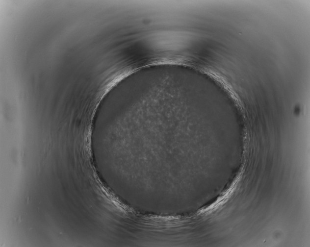 X0000098181121200805011030