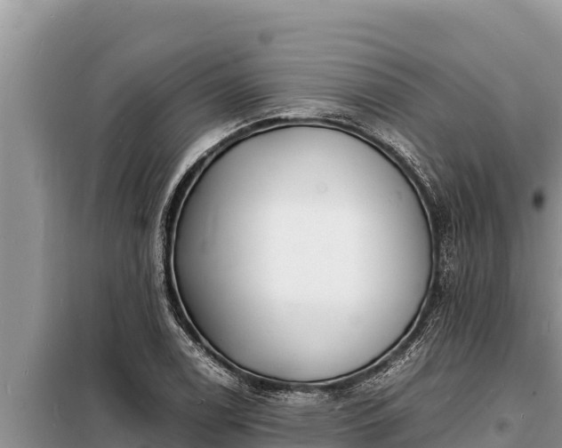 X0000098181122200805011030