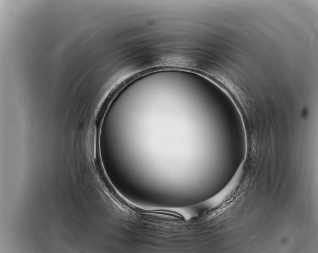 X0000098181123200805011030