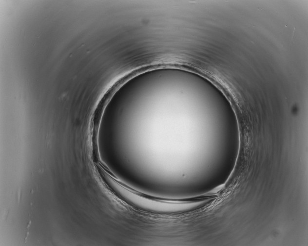 X0000098181124200805011030