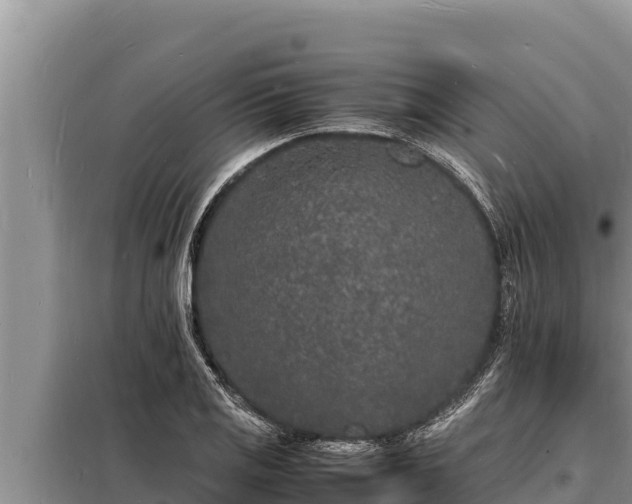 X0000098181125200805011030