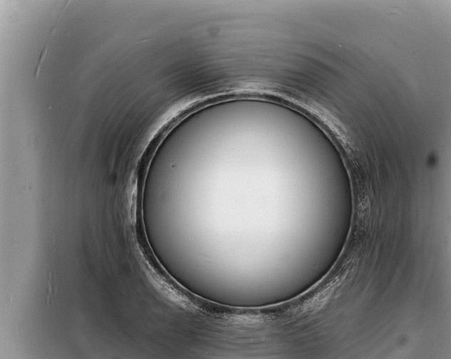 X0000098181126200805011030