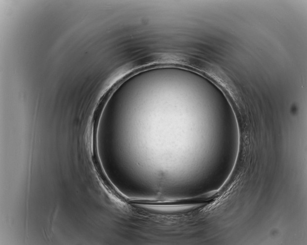 X0000098181127200805011030