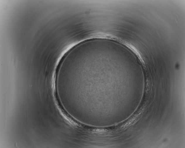 X0000098181128200805011030