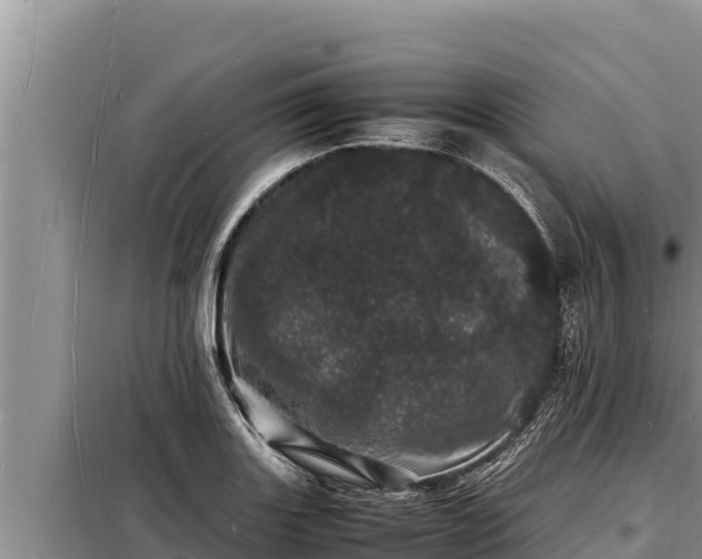 X0000098181131200805011030