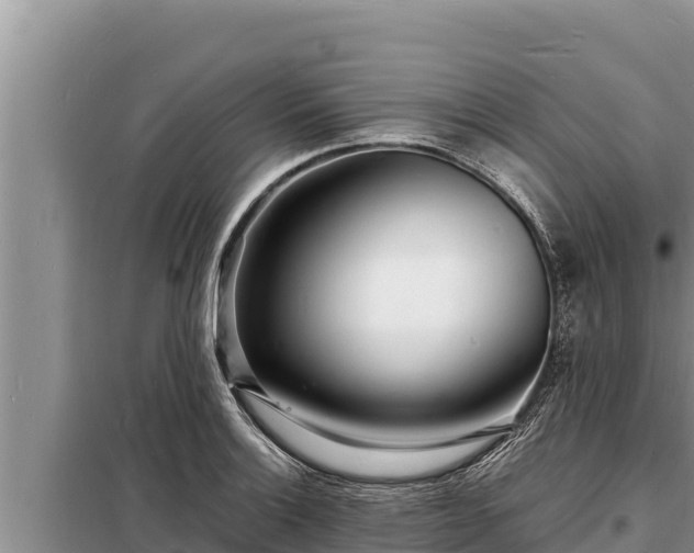 X0000098181132200805011030