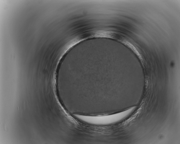 X0000098181133200805011030