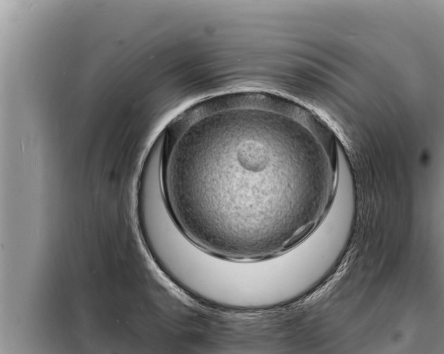 X0000098181134200805011030