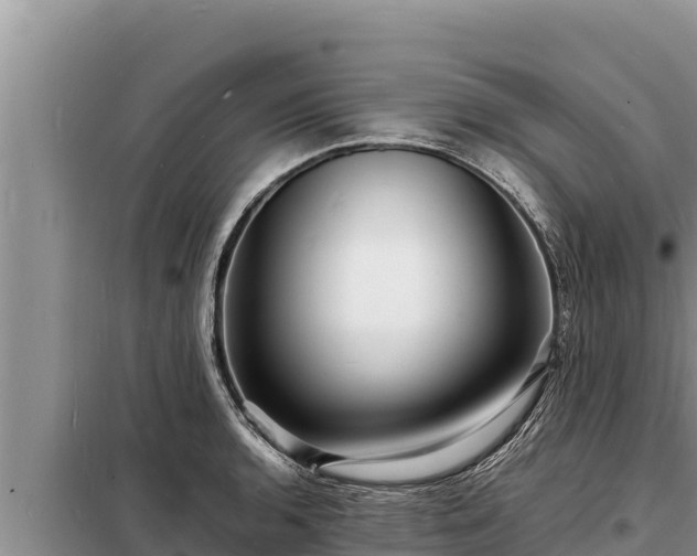 X0000098181136200805011030