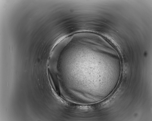 X0000098181137200805011030