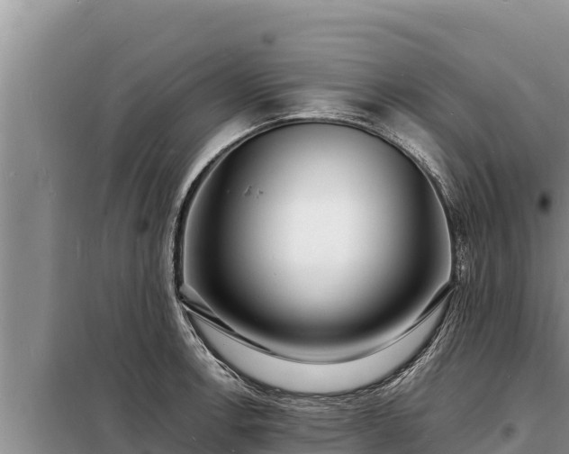 X0000098181138200805011030