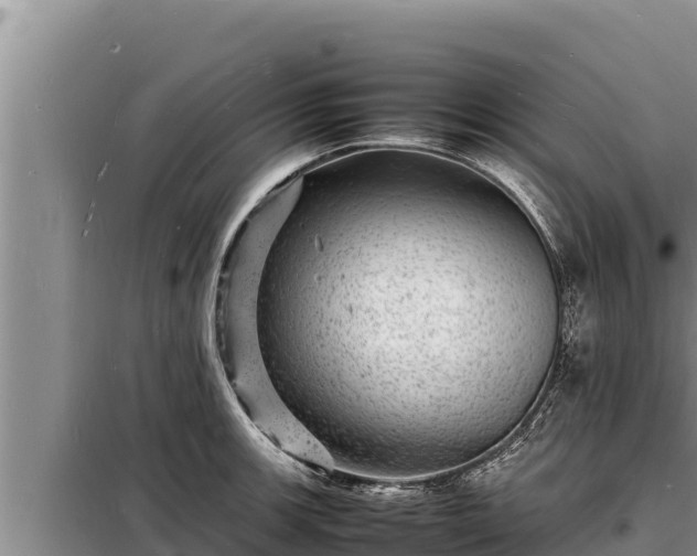 X0000098181139200805011030