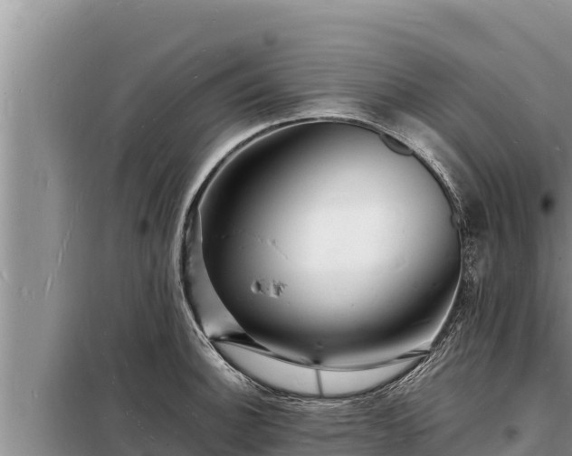 X0000098181140200805011030