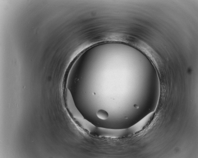 X0000098181141200805011030