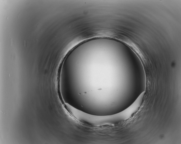 X0000098181143200805011030