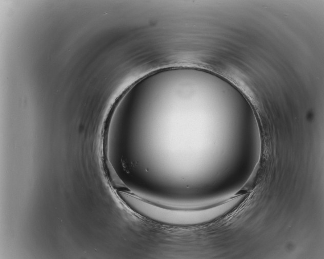 X0000098181144200805011030