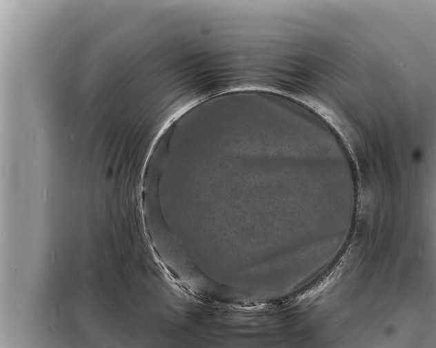 X0000098181145200805011030