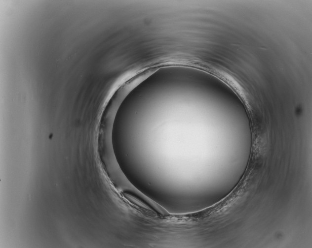 X0000098181146200805011030