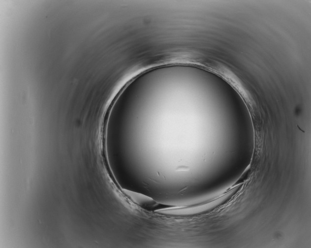 X0000098181148200805011030