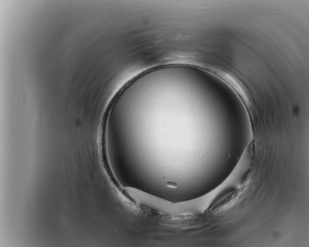 X0000098181149200805011030