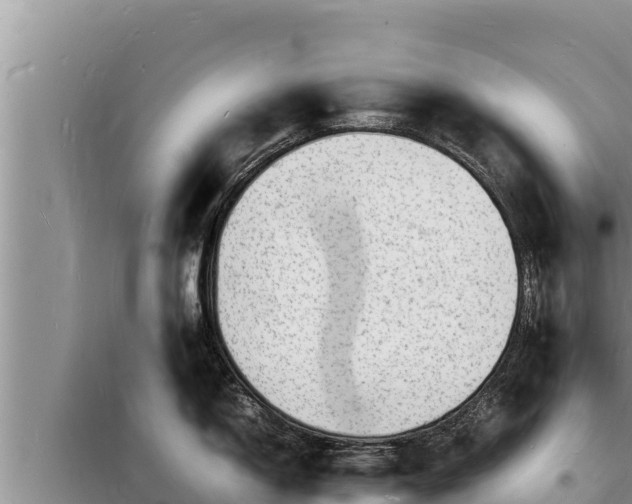 X0000098181150200805011030