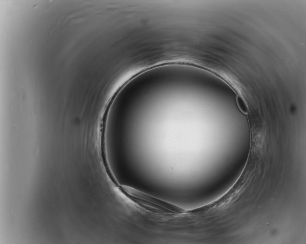 X0000098181151200805011030