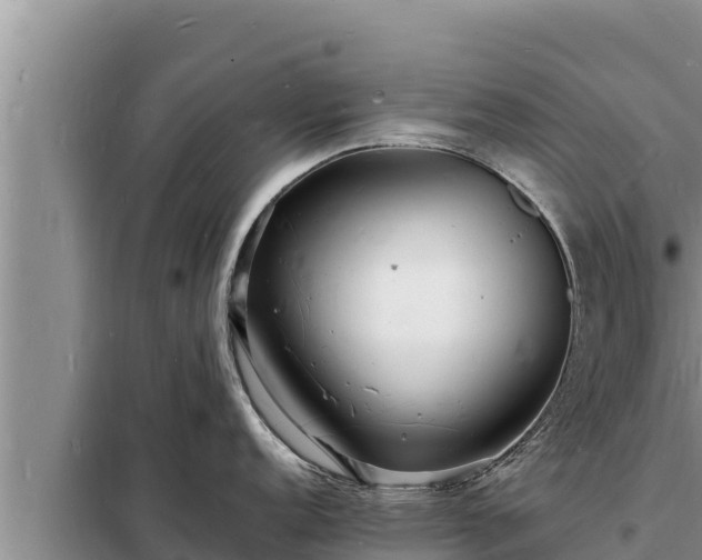 X0000098181152200805011030