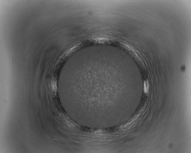 X0000098181155200805011029