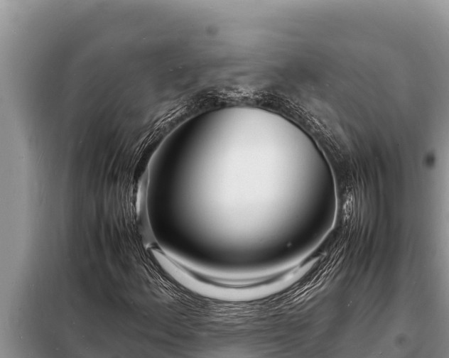 X0000098181156200805011029