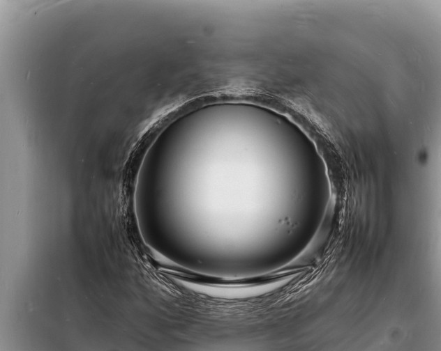 X0000098181160200805011029