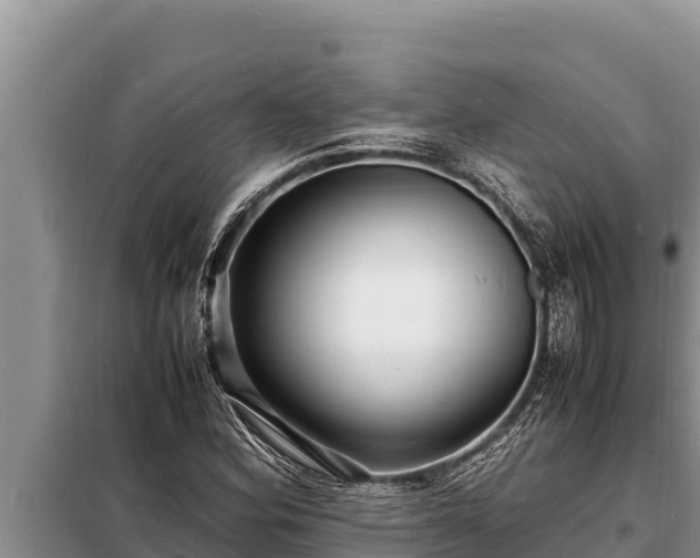 X0000098181164200805011029