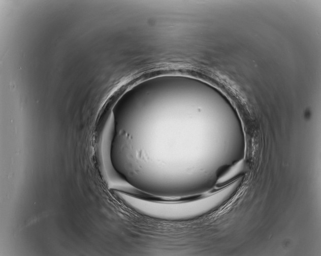 X0000098181165200805011029