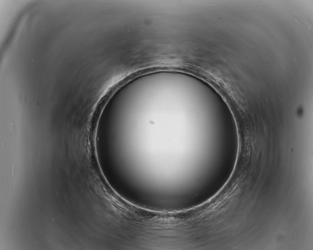 X0000098181168200805011029
